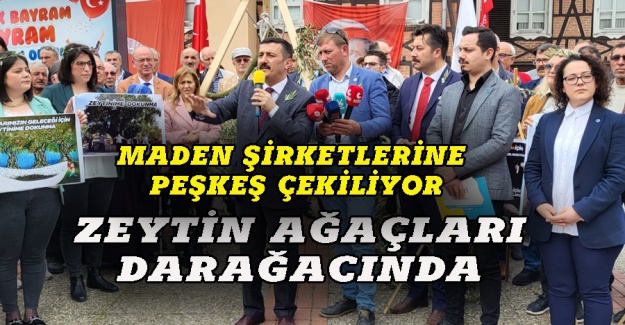 İYİ Parti Bursa'dan zeytinlik tepkisi: Maden şirketlerine peşkeş çekildi