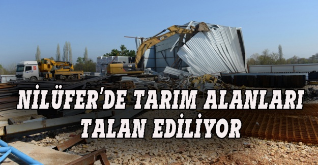 Nilüfer Tahtalı'daki kaçak yapı bir kez daha yıkıldı