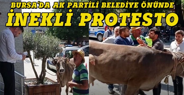 Bursa'da AK Partili belediye önünde inekli protesto