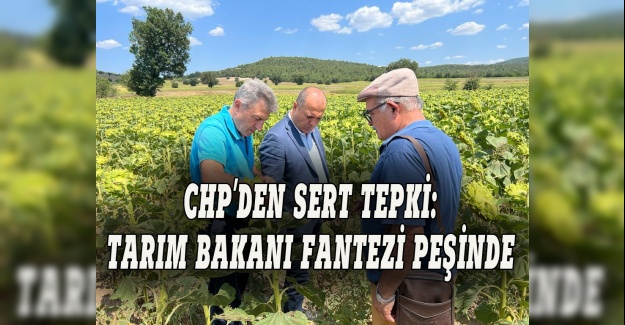 CHP'li Aygün: Tarım bakanı fantezi peşinde