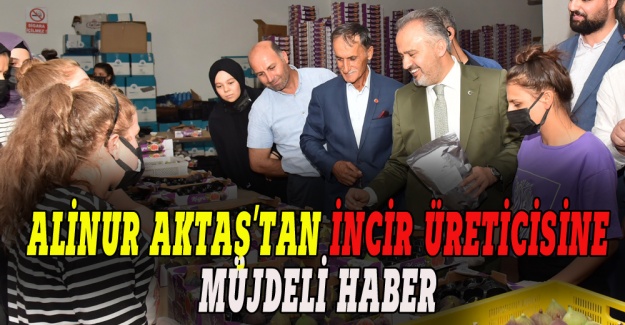 Alinur Aktaş'tan incir üreticisine müjdeli haber