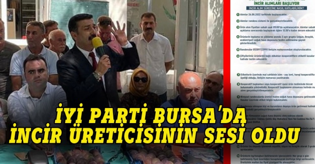 İYİ Parti Bursa'da incir üreticisinin sesi oldu