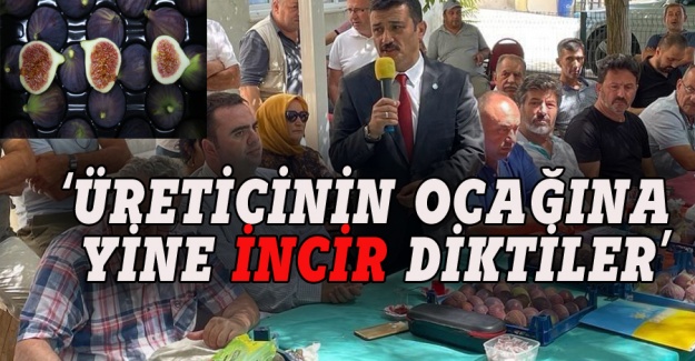 Türkoğlu: Üreticinin ocağına 'incir' diktiler