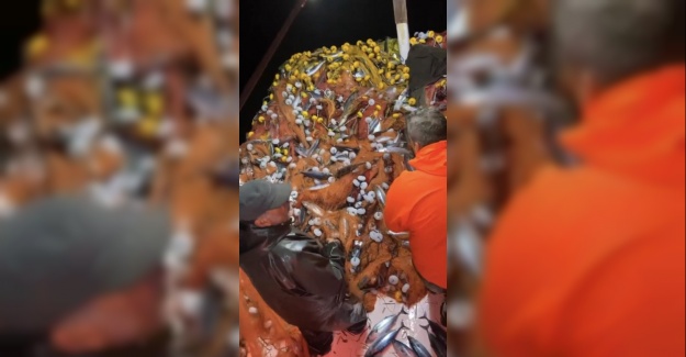 Çanakkale'de palamut sürüsü ağlara takıldı