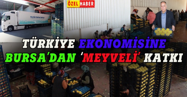 Türkiye ekonomisine Bursa'dan 'meyveli' katkı