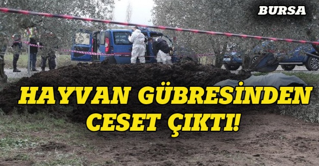 Bursa'da korkunç olay, gübrelerin içinden ceset çıktı