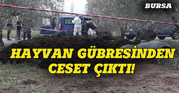 Bursa'da korkunç olay, gübrelerin içinden ceset çıktı